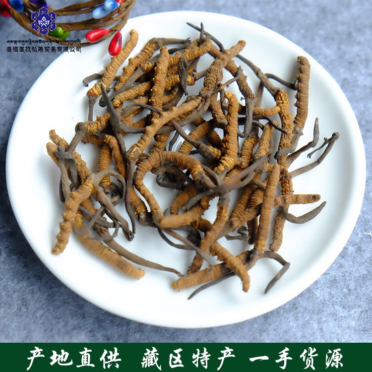 3-4根/克 西藏那曲冬蟲(chóng)夏草 新鮮野生無(wú)斷草 批發(fā)訂購(gòu)
