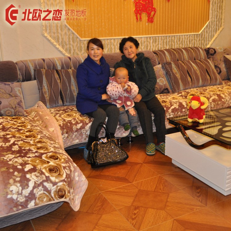 北歐之戀發熱強化復合碳晶發熱芯片地熱地暖地板CG9008款