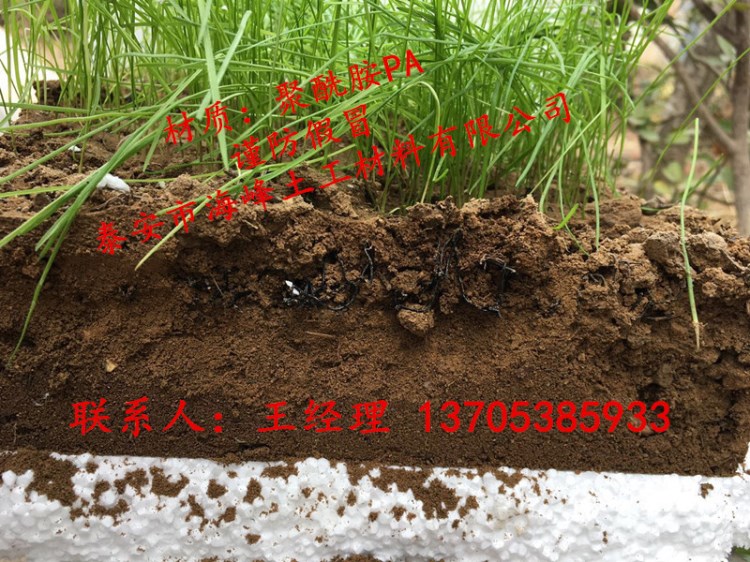 供應(yīng)福建7020水土保護(hù)毯,水利邊坡防護(hù)生態(tài)護(hù)坡,三維水土保護(hù)毯.