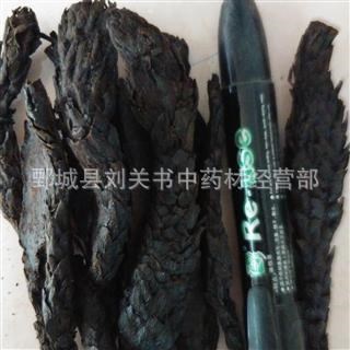 肉蓯蓉  大云  水洗無雜質  軟質  批發(fā)各種中藥材 礦石 名貴藥材