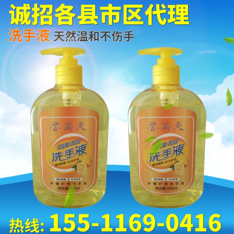 檸檬護理洗手液清潔健康補水護洗手液 檸檬泡沫消毒洗手清潔液