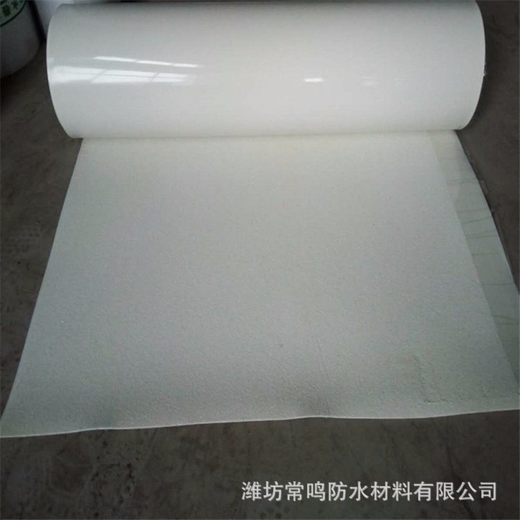 高分子卷材自粘膠膜非瀝青基自粘膠膜預鋪反粘施工廠家直銷