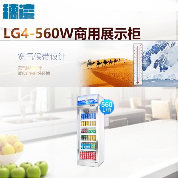 穗凌 LG4-560W商用展示柜 飲料柜 全銅管冰柜玻璃門冷藏立式保鮮