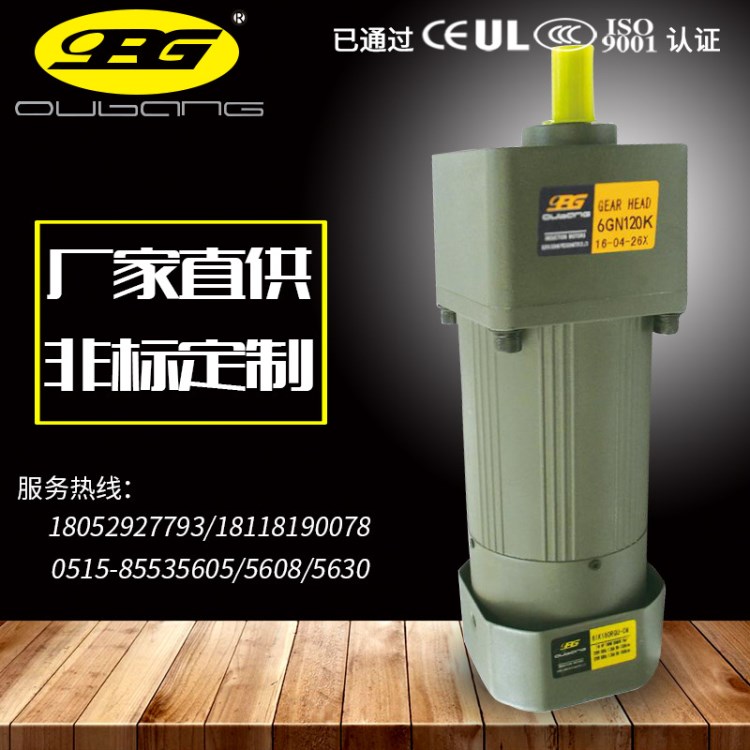 OPG歐邦小型減速馬達120W微型剎車減速機6IK120交流齒輪減速機1