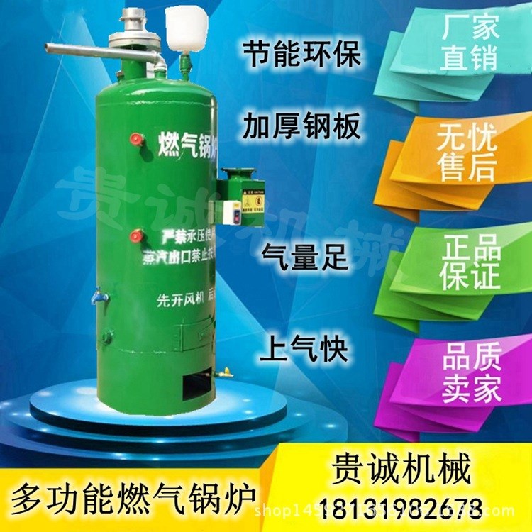 全自動節能環保燃氣蒸汽發生器商用鍋爐豆腐煮漿蒸饅頭涼皮釀酒機
