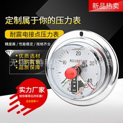 無錫特種不銹鋼耐震電接點(diǎn)壓力表100無錫特種壓力表雪浪儀器儀表