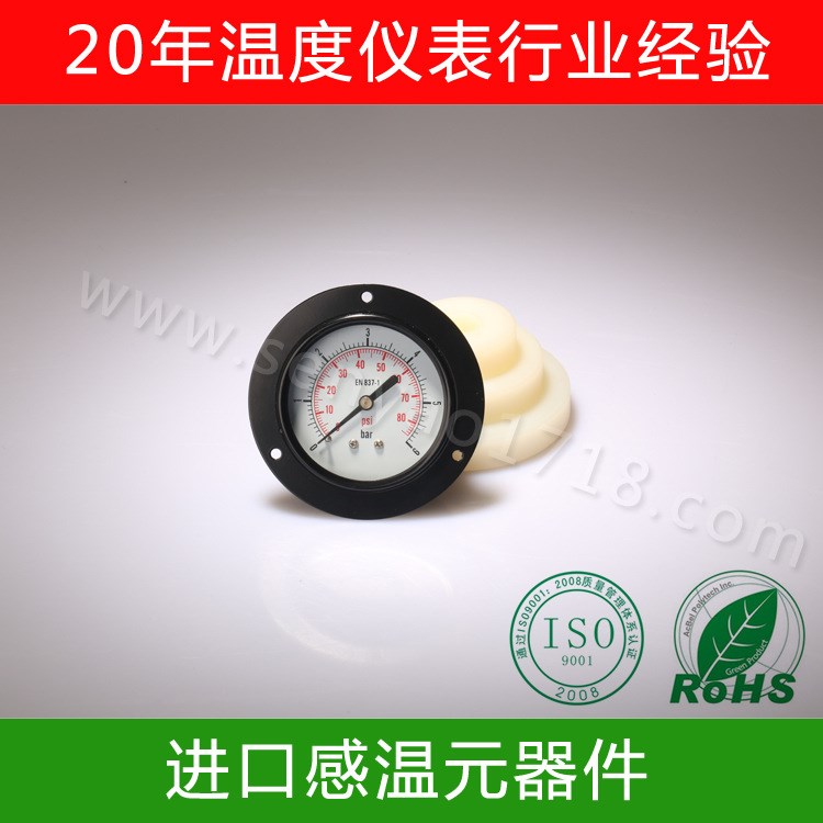 軸向帶法蘭壓力表  軸向工業壓力表  軸向壓邊式壓力表