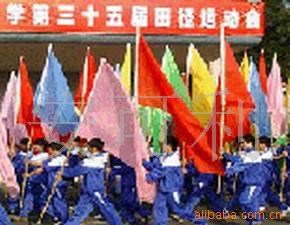 各種規格彩旗，手搖旗子，沙灘旗，信號旗，桌旗，車旗