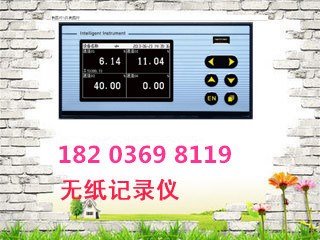 智能U盤液位溫度油耗無(wú)紙記錄儀生產(chǎn)廠家