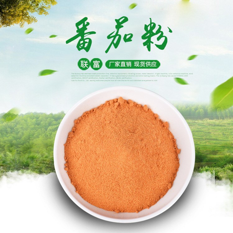 番茄粉   產(chǎn)品 脫水蔬菜粉  脫水番茄粉  西紅柿粉