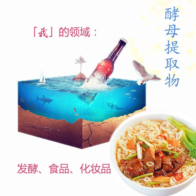 酵母抽提物 青島日昇昌H 食品級增味劑酵母抽提物 增味劑