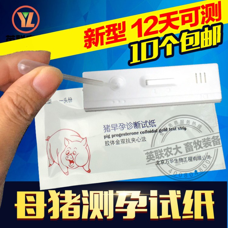 母豬測孕試紙盒豬用早孕測試紙懷孕診斷檢測卡驗(yàn)孕棒專用養(yǎng)豬設(shè)備