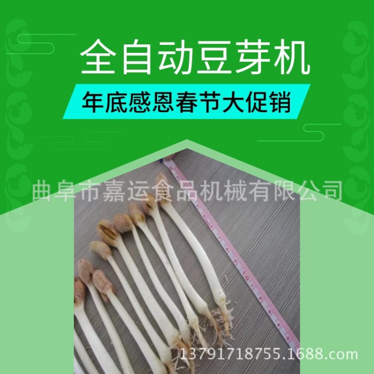 河南地區(qū)不銹鋼綠豆芽機 花芽機視頻 商用豆苗機廠家