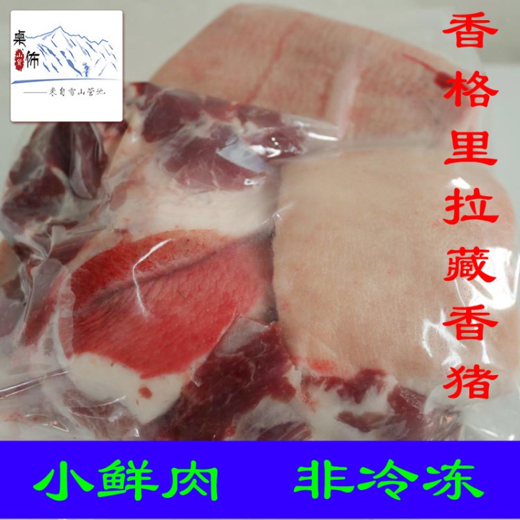 香格里拉藏香猪肉批发 现货批发 生鲜肉 大量供应藏香猪鲜肉