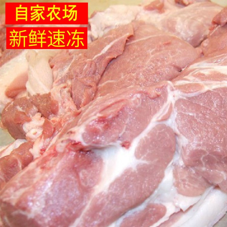 臨沂廠家直供 山東豬肉 24號精肉 箱裝25公斤 品質(zhì)豬冷鮮肉