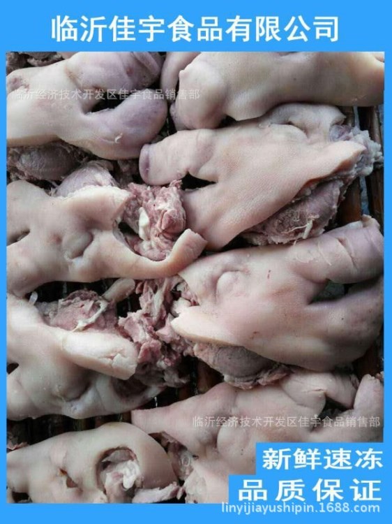 廠家批發(fā)  冷分割 豬肉產(chǎn)品 冷鮮豬頭肉 冷凍豬頭 質(zhì)量