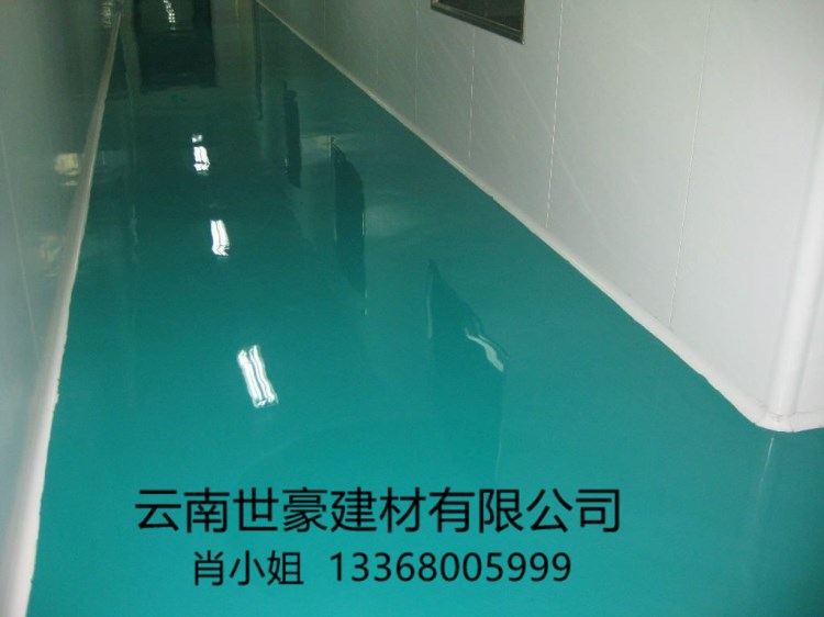 供應(yīng)環(huán)氧地坪漆 金剛砂耐磨地坪漆材料 防靜電地坪漆 水泥自流平