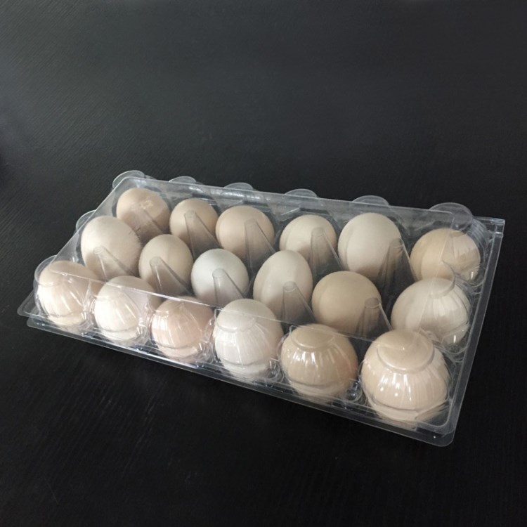 厂家直销 环保吸塑鸡蛋盒18枚装精品pet鸡蛋盒环保食品对折塑料盒