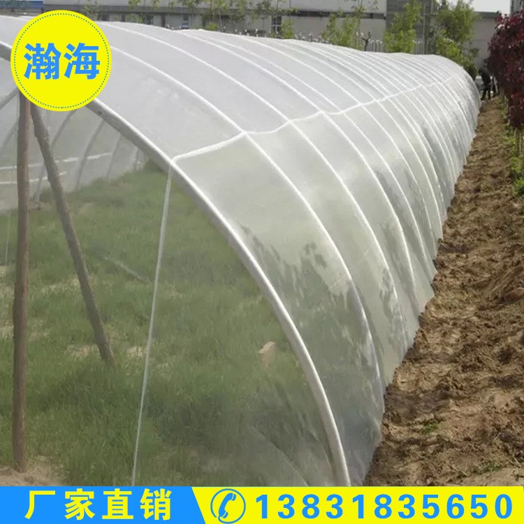 廠家直銷 溫室養殖防蟲網螞蚱養殖專防蟲網紗網 80目加厚