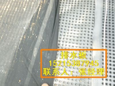 供应湖南防排水板25mm排水板长沙排水板土工布