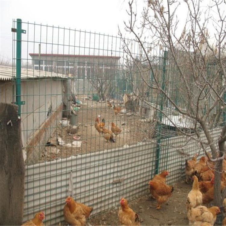 假山用小孔電焊網(wǎng) 鍍鋅抹墻網(wǎng)  家用養(yǎng)殖荷蘭網(wǎng) 養(yǎng)雞鐵絲網(wǎng)圍欄