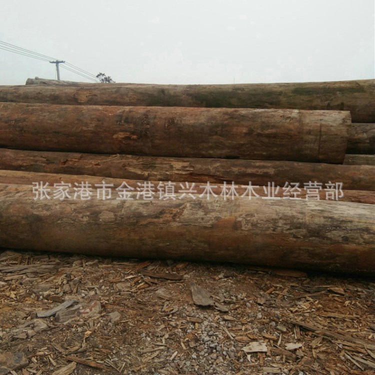 【興木林】 批發(fā)柚木 戶外園林柚木 防腐大徑柚木 質(zhì)量上乘