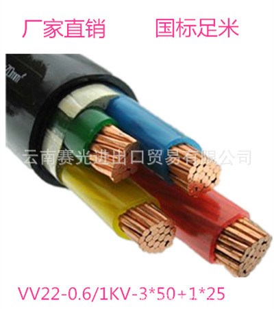 源頭廠家 國標足米 護套電力電纜 VV22-0.6-1KV-3*50 1*25