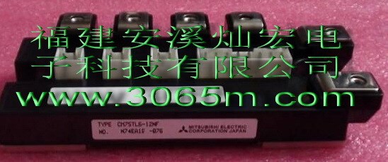 現(xiàn)貨原裝 全新原裝模塊德國歐派克模塊DD110F80