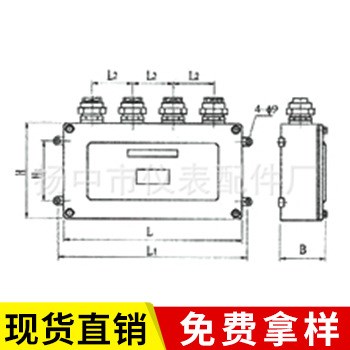 供應(yīng)批發(fā)JGX系列防爆接線盒 不銹鋼防爆接線盒