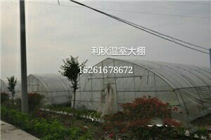 直銷優(yōu)廣西質(zhì)塑料大棚 農(nóng)業(yè)種植大棚 大棚造價 質(zhì)量