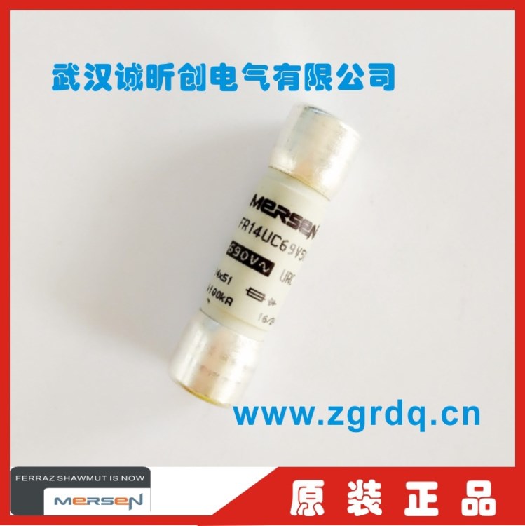 ferraz mersen法國羅蘭熔斷器FR14UC69V50 690V 50A保險管14*51