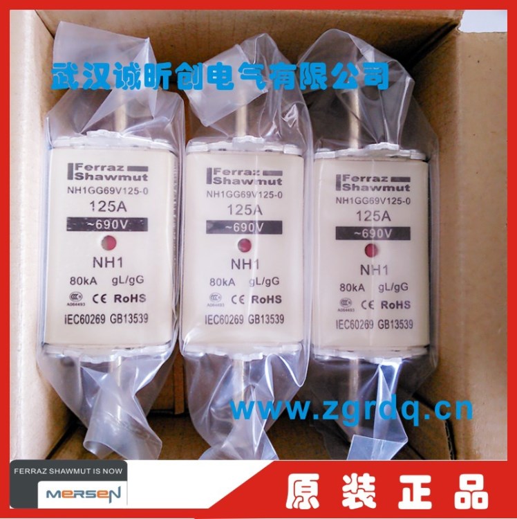法國羅蘭法雷ferraz shawmut熔斷器NH1GG69V100  690V 100A