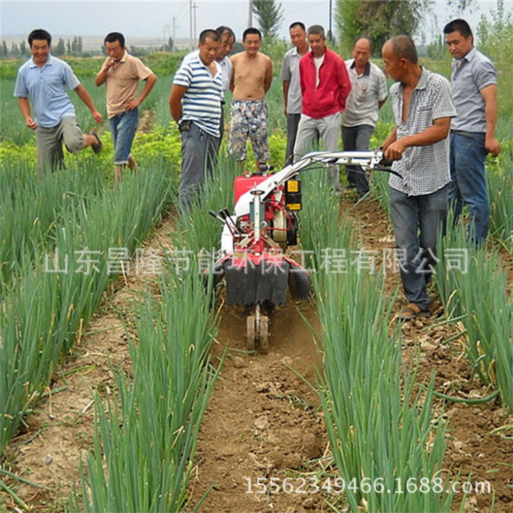 葡萄采摘園專用小型葡萄埋藤機(jī) 生產(chǎn)多功能田園管理機(jī)埋藤機(jī)