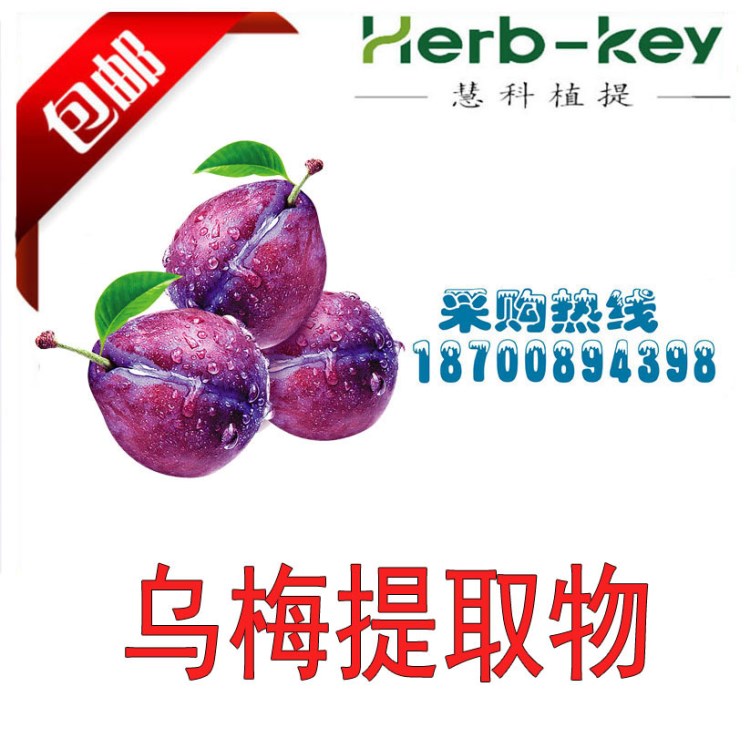 烏梅提取物 烏梅粉 口感 藥食同源 廠家直銷