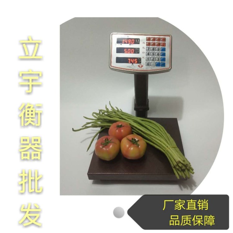 廠家直銷電子計(jì)價(jià)秤臺(tái)秤60KG電子稱超市菜市場(chǎng)商用30KG電子秤