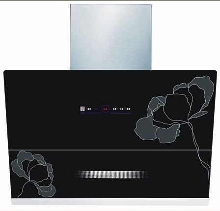 品質(zhì)新式220V中山50