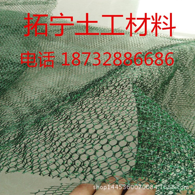 低價(jià)供應(yīng)道路坡面上促進(jìn)植物生長(zhǎng)的三維植被網(wǎng)  植草網(wǎng)