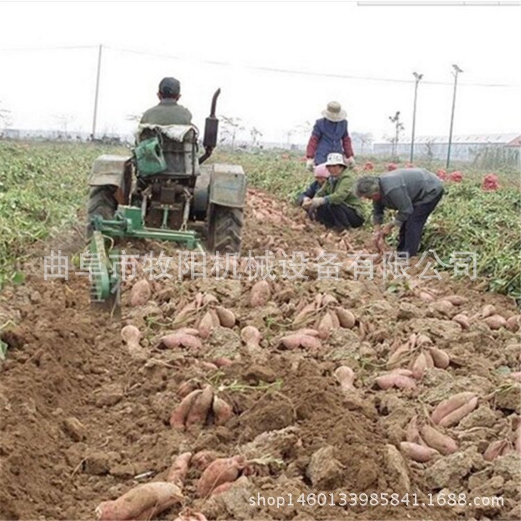 四輪帶動花生收獲機 馬鈴薯低破損土豆收貨機 花生土豆收獲機