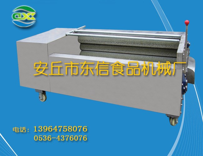 廠價(jià)直銷MSQ型塊莖類果蔬清洗設(shè)備  的胡蘿卜清洗機(jī)