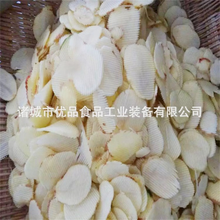 薯片成套油炸线 自主研发豆腐加工生产线 食品机械制造商优品机械