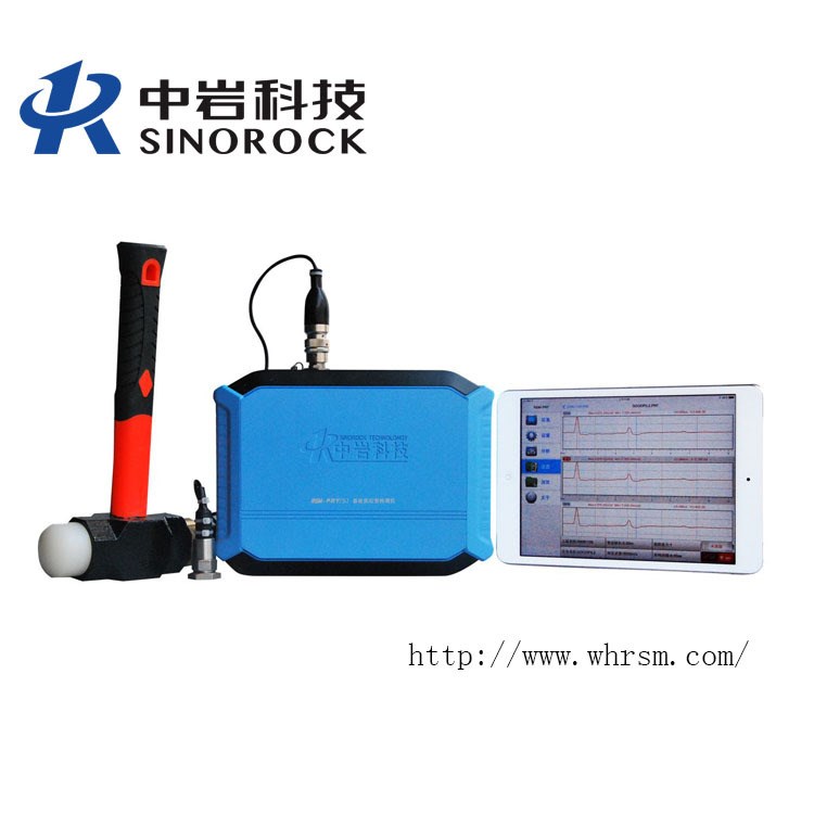 武漢中巖科技 RSM-PRT（S）低應變檢測儀 反射波 樁身完整性檢測