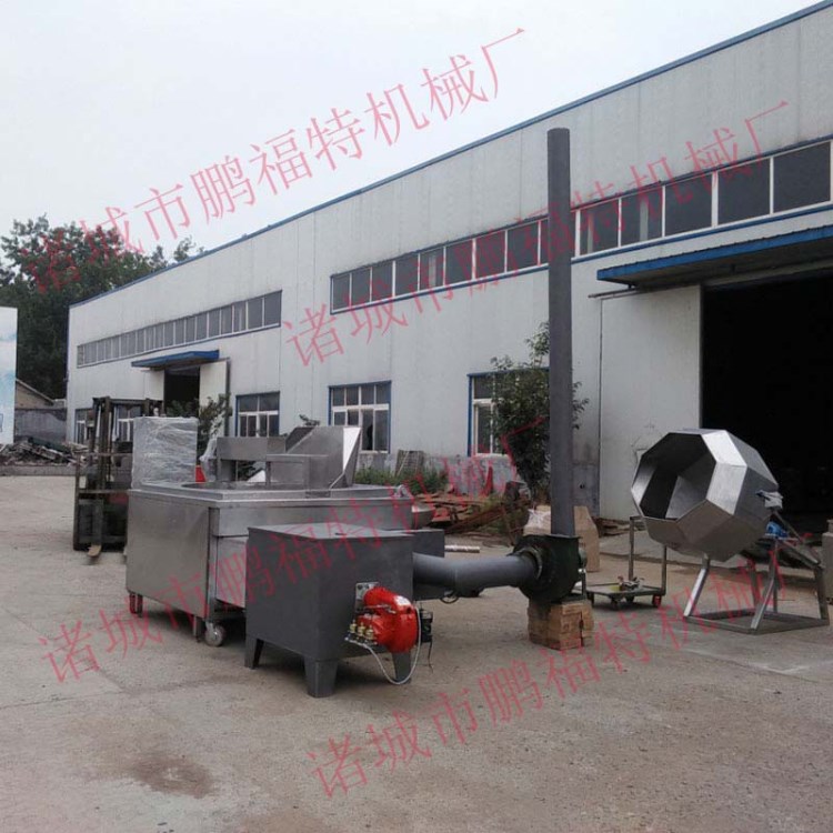 供應節能油炸機 全自動油炸機 炸雞炸鴨油炸機價格g