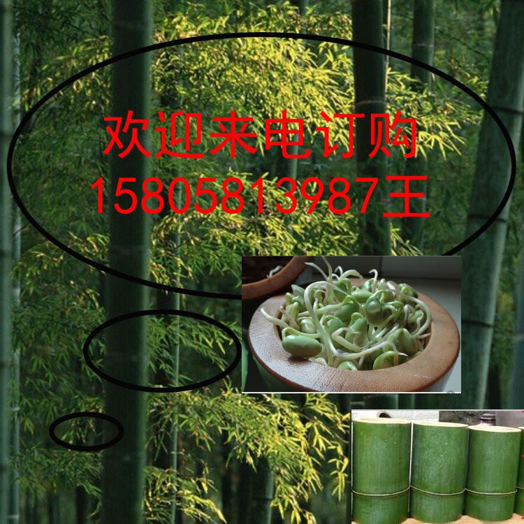 發(fā)豆芽竹筒 綠色果蔬機(jī) 竹子發(fā)芽機(jī)生豆芽機(jī)家用