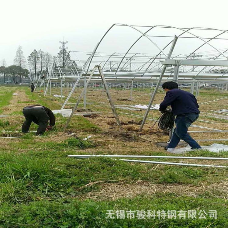 怀化大棚钢管连栋大棚钢管厂 娄底大棚骨架配件湖南育秧大棚