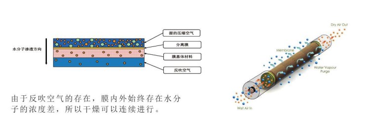 管道除濕機(jī),美國(guó)高品質(zhì)更耐用,信賴(lài)的壓縮空氣除濕機(jī)廠家直銷(xiāo)