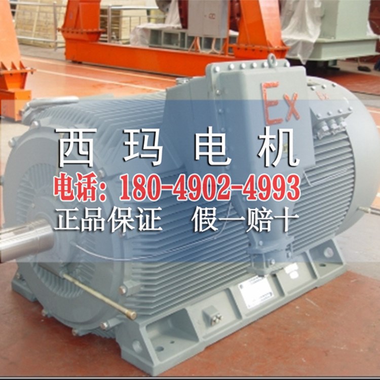 西瑪YBE2系列YBE2-355M-4 250KW（IP55）隔爆型三相異步電動機