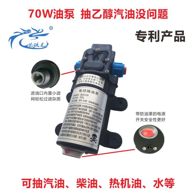 抽油泵 加油 防爆  大流量 12V70W