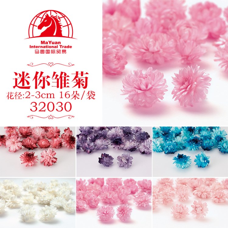 EM32030仿真迷你雛菊大地農園永生花飾品2-4CM16朵/袋