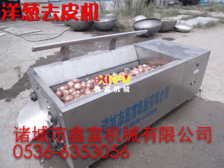 洋蔥去皮洗泥機，毛輥去皮，根莖類果蔬剝皮機，鑫富廠家直供w