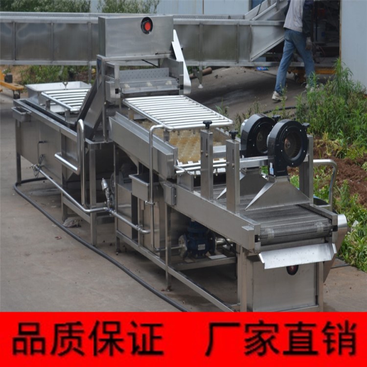 土豆清洗機 大姜清洗機 土豆脫皮機蔬菜清洗氣泡清洗